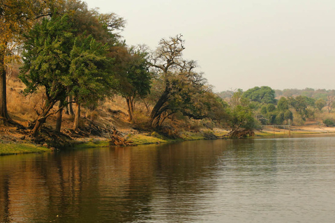 Desde Kasane: Chobe National Park Overnight Camping Safari