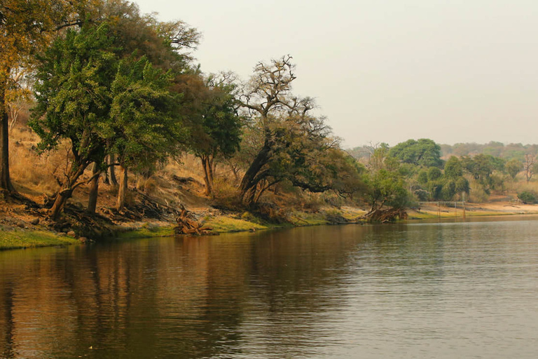 Desde Kasane: Chobe National Park Overnight Camping Safari