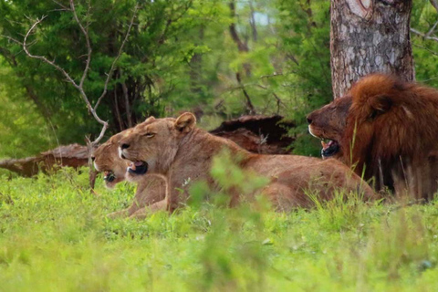 From Kasane: Chobe National Park Overnight Camping Safari