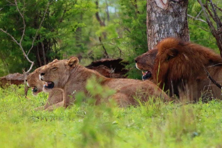 From Kasane: Chobe National Park Overnight Camping Safari