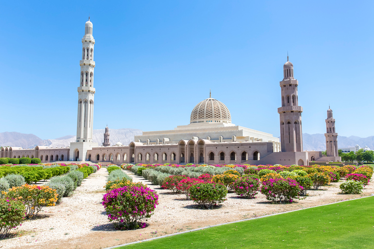 Mascate: tour della Gran Moschea, suq, musei e il forteMascate: tour privato della città di mezza giornata