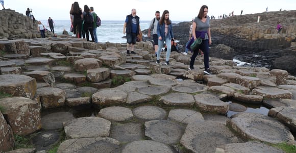From Belfast: Private North Coast Tour to Giants Causeway