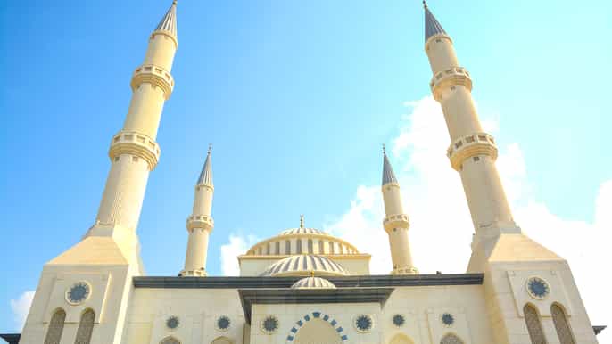 dubai vecchia e nuova tour con moschea blu dal porto