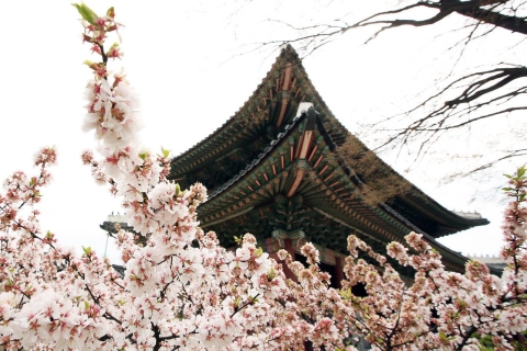 Seúl: Excursión de 4 horas por el Palacio, Santuario y Más, Patrimonio de la UNESCO