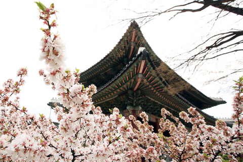 Seul: Tour do Palácio, Santuário e outros patrimônios da UNESCOPasseio pelo Patrimônio da UNESCO (Saída 10 da estação Myeongdong)