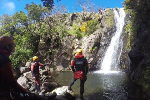 Funchal: Beginners Canyoning Tour in Funchal Ecological Park