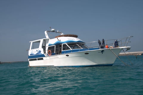 Boa Vista: Półdniowa wycieczka z obserwacją wielorybów