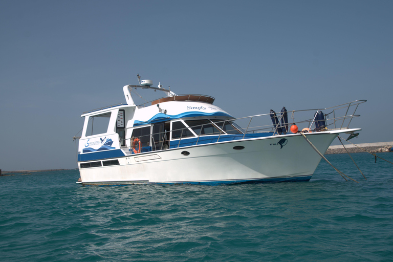 Boa Vista: Półdniowa wycieczka z obserwacją wielorybów