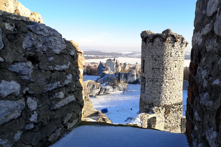 Aus Krakau: Privatausflug zum Schloss Ogrodzieniec „The Witcher“.