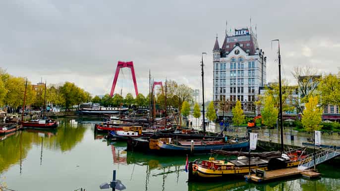 rotterdam walking tour and harbor cruise