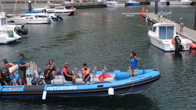 lajes de pico smallgroup swim with dolphins