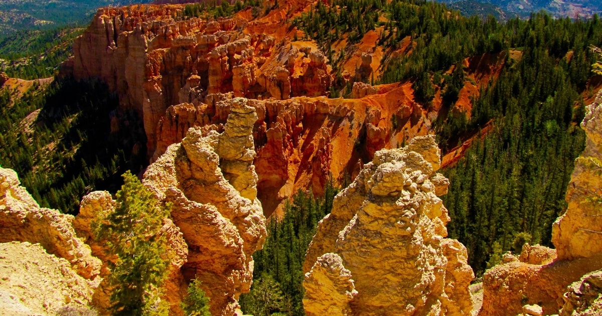 Vom Bryce Canyon OneWayLuxusShuttle nach Las Vegas GetYourGuide