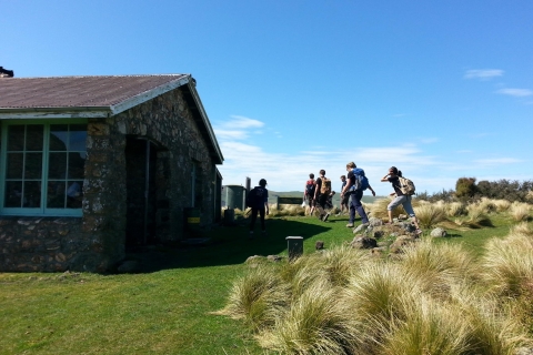 Christchurch: Packhorse Hut Geführte Wanderung und Scenic DrivePrivate Tour mit Hotelabholung