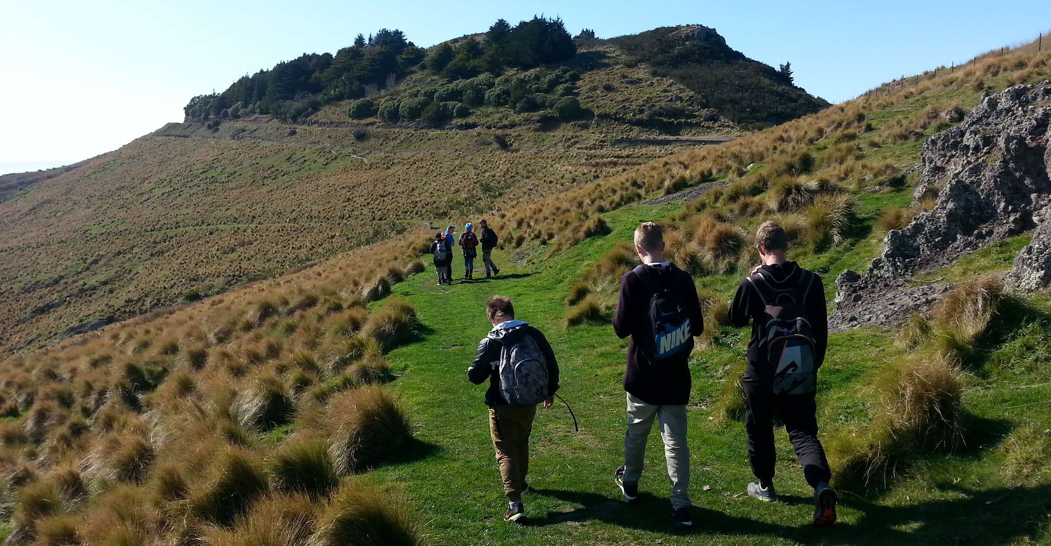 Christchurch, Packhorse Hut Passeggiata guidata e Scenic Drive - Hizvo