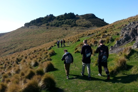 Christchurch: Spacer z przewodnikiem po Packhorse Hut i przejażdżka widokowaPrywatna wycieczka z odbiorem z hotelu