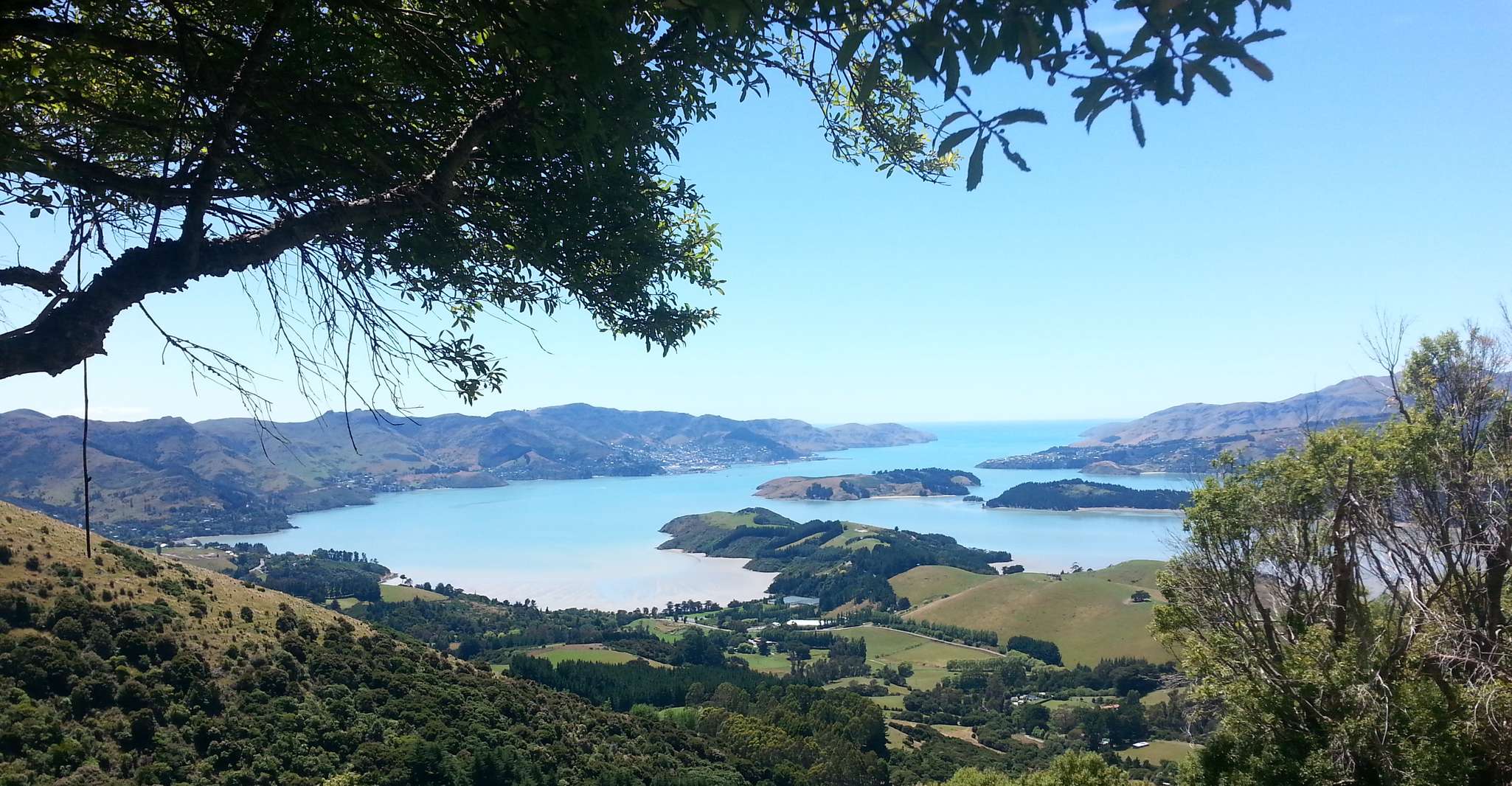 Christchurch, Packhorse Hut Passeggiata guidata e Scenic Drive - Hizvo