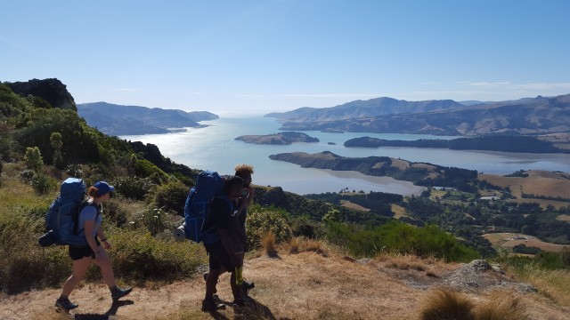 Visit Christchurch Packhorse Hut Guided Walk and Scenic Drive in Christchurch, New Zealand