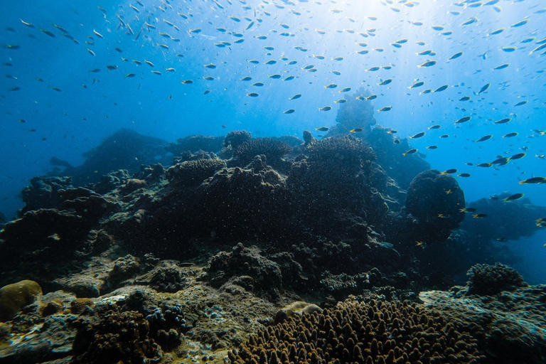 Från Krabi: Phi Phi-öarna - dagstur med motorbåtFrån Krabi: Dagsttur till Phi Phi-öarna på snabb-båt