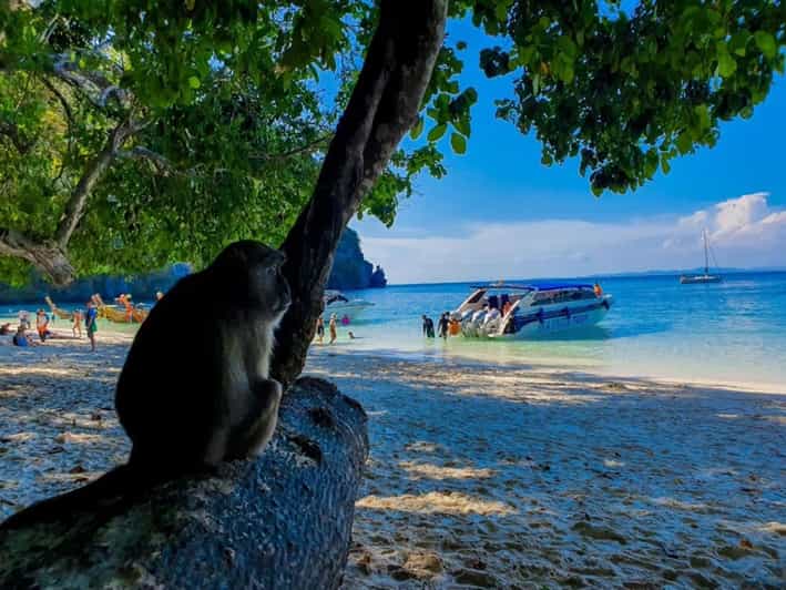 From Krabi Phi Phi Islands Speedboat Day Tour GetYourGuide