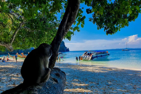 Au départ de Krabi : Excursion d'une journée en bateau rapide dans les îles Phi PhiDe Krabi : journée en hors-bord aux îles Phi Phi