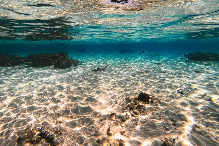 Desde Krabi: Excursión de un día en lancha rápida a las Islas Phi PhiDesde Krabi: tour en lancha motora por las islas Phi Phi