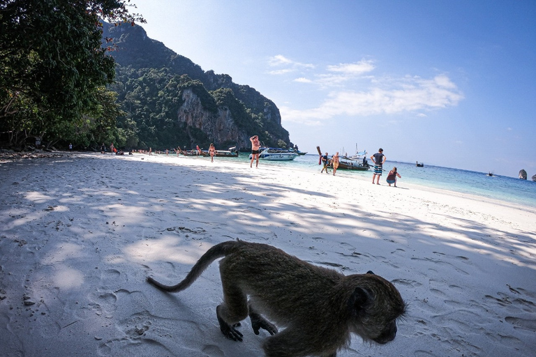 Au départ de Krabi : Excursion d'une journée en bateau rapide dans les îles Phi PhiDe Krabi : journée en hors-bord aux îles Phi Phi