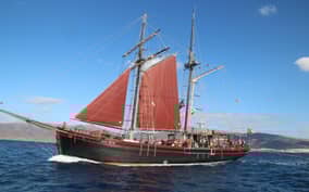 - Canarie.it