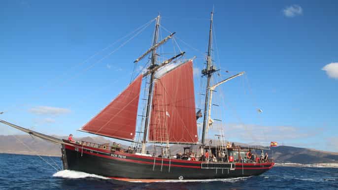 fuerteventura 4hour pirate sailing adventure