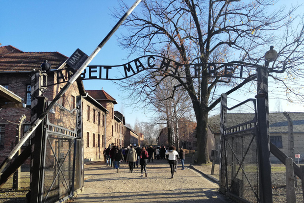 Varsovie : excursion à Cracovie et Auschwitz en train rapide avec transfert