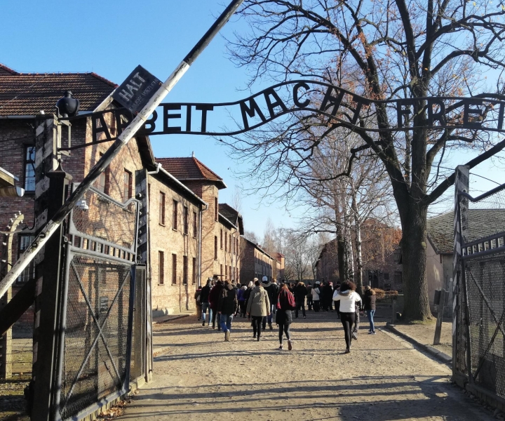 Varsovia: Excursión de un día a Cracovia y Auschwitz en tren
