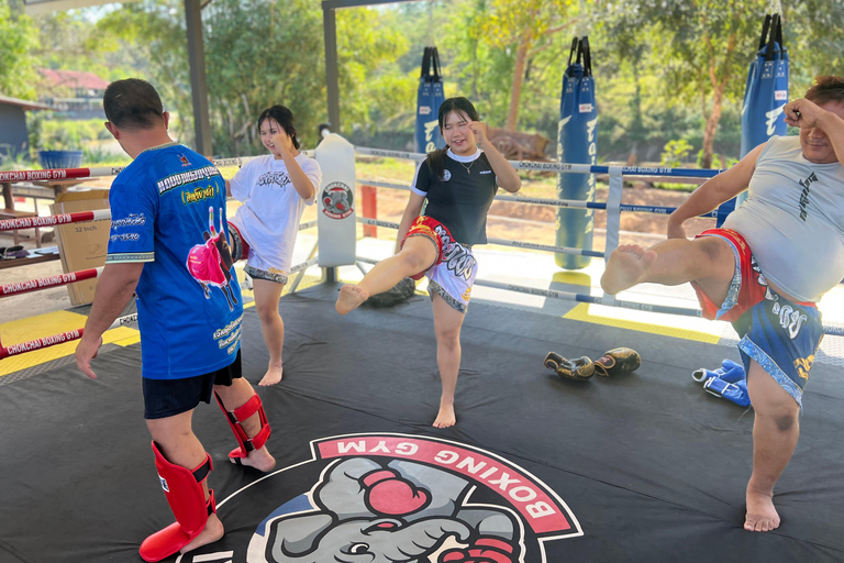 Chiangmai: Basic Muay Thai Experience with Training Session