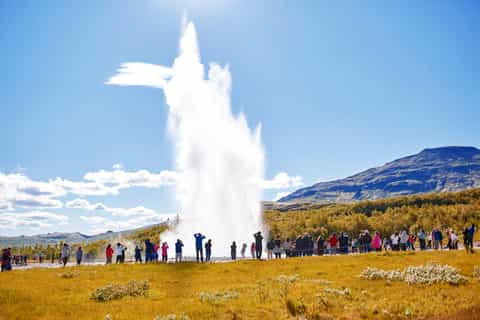the golden circle and fridheimar day tour from reykjavik