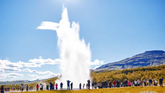 the golden circle and fridheimar day tour from reykjavik