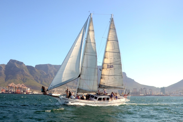 Kaapstad: Champagne-cruise vóór zonsondergang