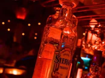 Hurghada: Little Buddha Dinner und Clubnacht mit Transfer Hurghada: Little Buddha Dinner und Clubnacht mit Transfer