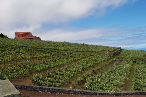 Tenerife: 4-uur durende Gauchinche Food Tour