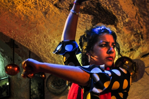 Barcelone : visite de la ville et spectacle de flamenco avec vin et tapas