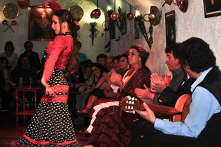 Barcelona: City Tour & Flamenco Show with Wine & Tapas