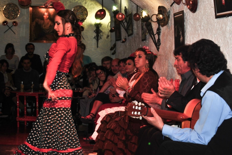 Barcelona: Stadtrundfahrt & Flamenco-Show mit Wein & Tapas