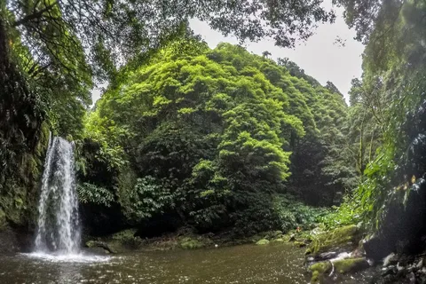 Azoren: Ribeira da Salga Canyoning Abenteuer