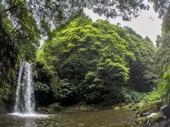 Azores: Aventura de Barranquismo en Ribeira da Salga