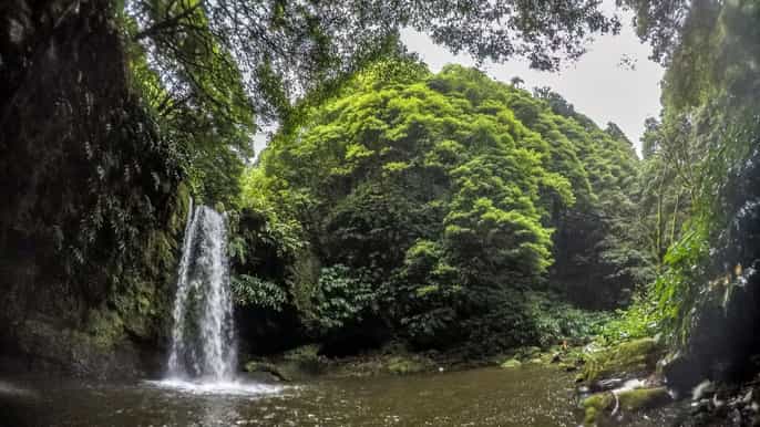 azores ribeira da salga canyoning adventure