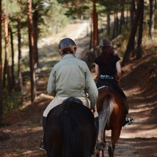 Madrid: Paseos a caballo por el Parque Nacional Sierra del Guadarrama