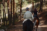 Madrid, Horse Riding in Sierra del Guadarrama National Park - Housity