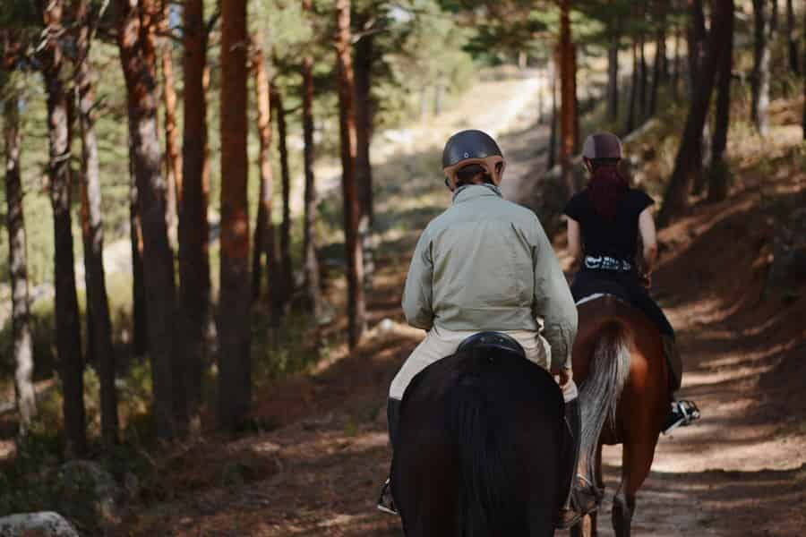 Madrid: Reiten im Nationalpark Sierra del Guadarrama. Foto: GetYourGuide