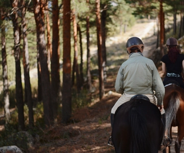 Madrid: Horse Riding in Sierra del Guadarrama National Park