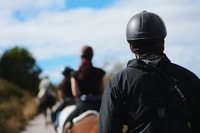 Madrid, Horse Riding in Sierra del Guadarrama National Park - Housity