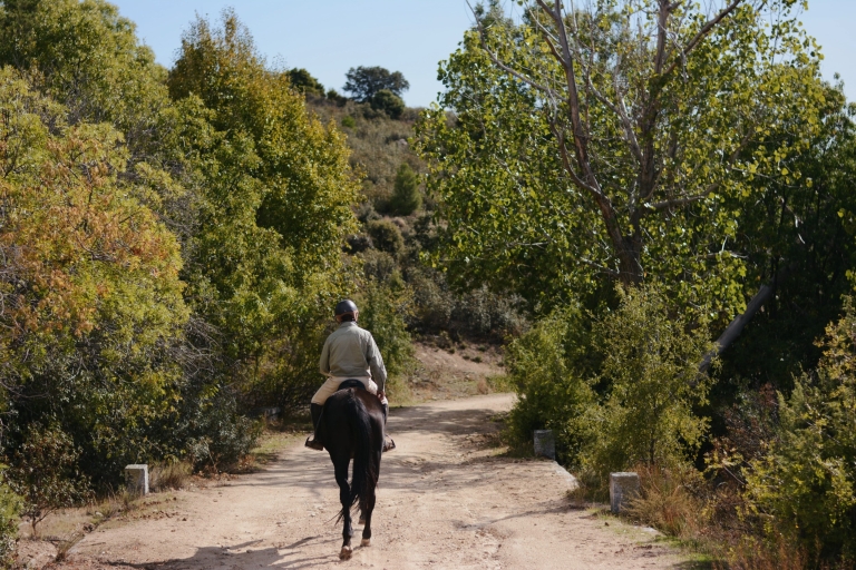 Madryt: Jazda konna w Parku Narodowym Sierra del Guadarrama