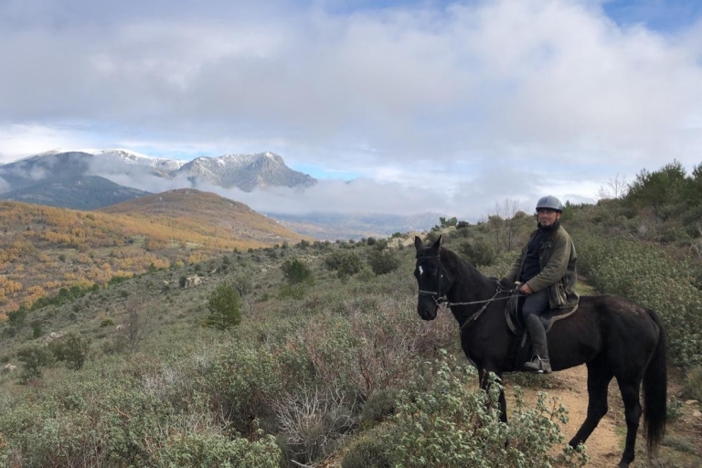 Madrid: paardrijden in het nationale park Sierra del Guadarrama