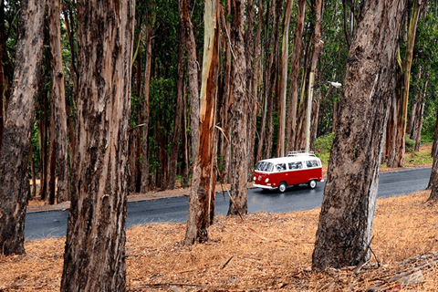 San Francisco : visite originale de 3 heures en bus Volkswagen